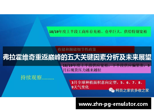 弗拉霍维奇重返巅峰的五大关键因素分析及未来展望