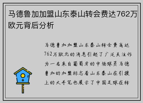 马德鲁加加盟山东泰山转会费达762万欧元背后分析