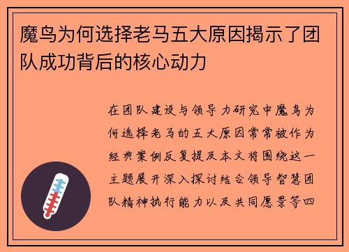 魔鸟为何选择老马五大原因揭示了团队成功背后的核心动力
